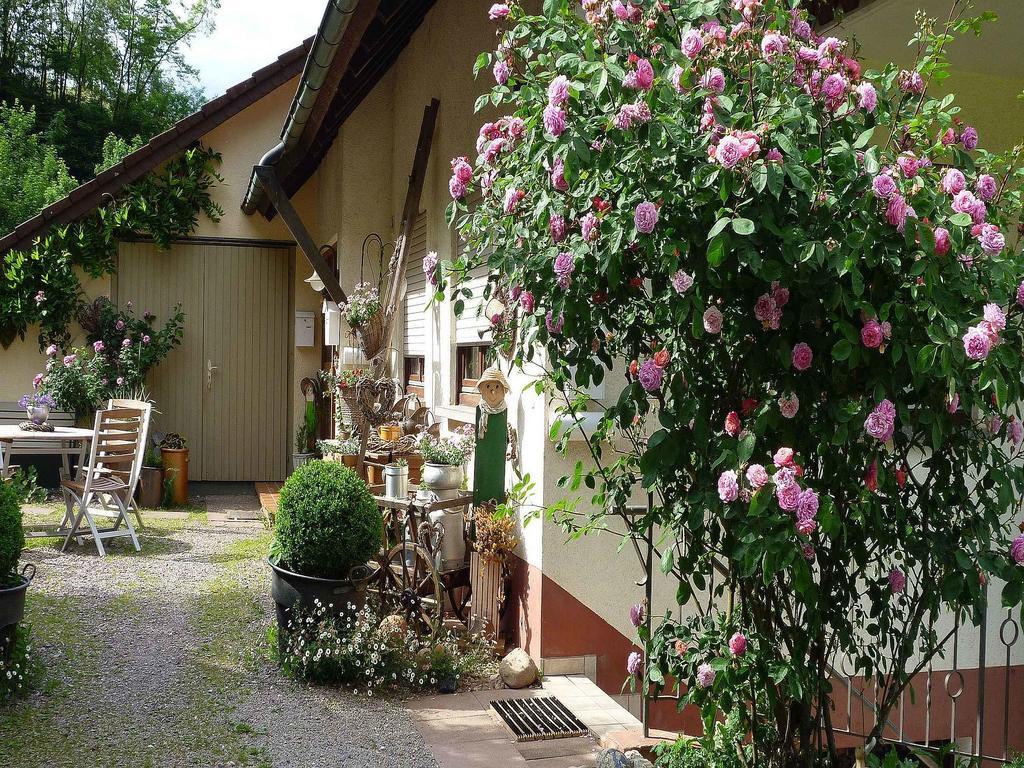 Ferienwohnung Hügelgarten Oppenau Exterior foto